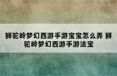 狮驼岭梦幻西游手游宝宝怎么弄 狮驼岭梦幻西游手游法宝